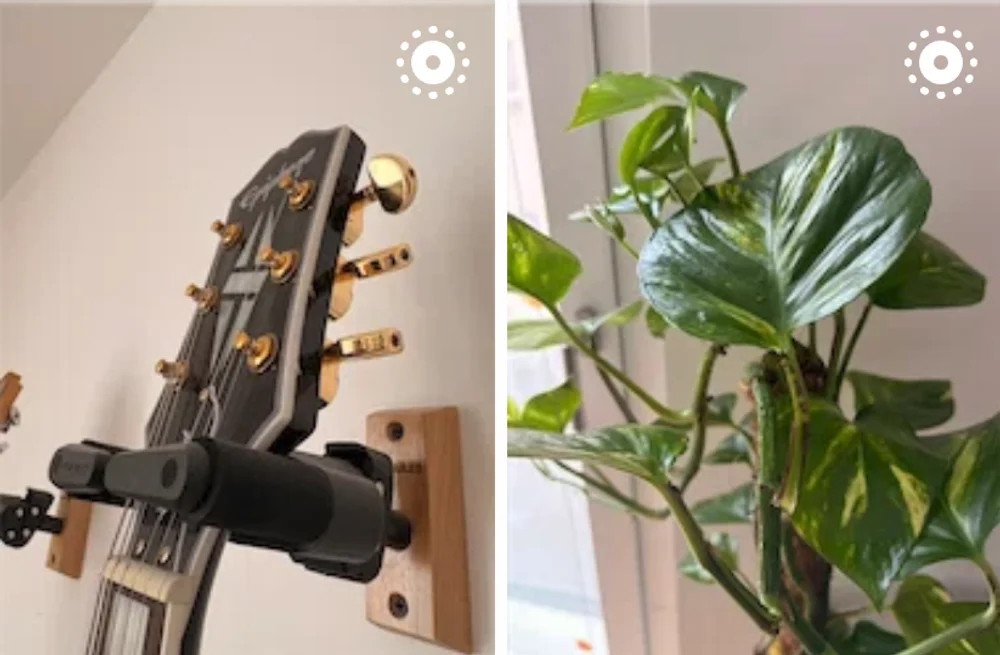 Live and Motion Photos support